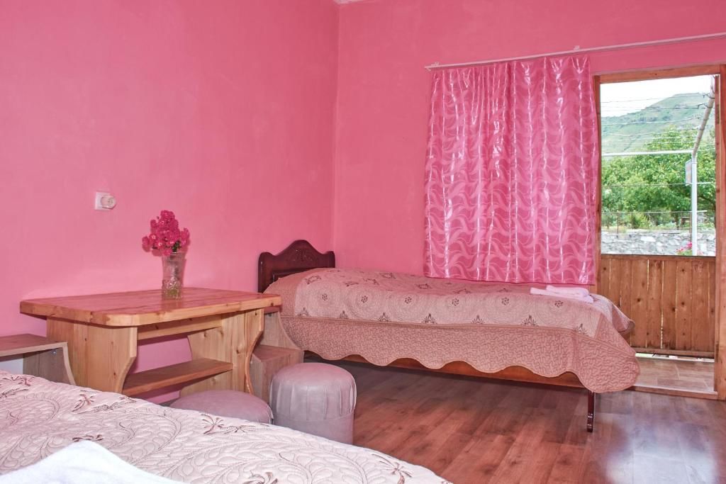 Гостевой дом Guest House Aleksandre T'mogvi-29