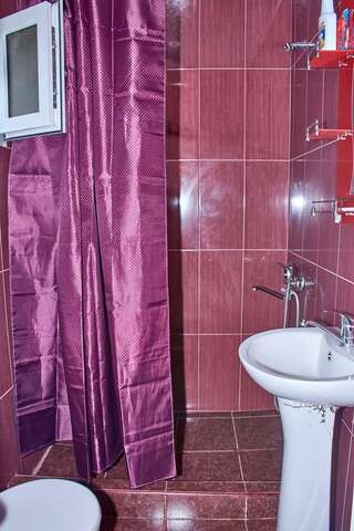 Гостевой дом Guest House Aleksandre T'mogvi Cемейный номер с собственной ванной комнатой-8